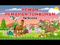 Hewan Pemakan Tumbuhan - Herbivora | Kids learning