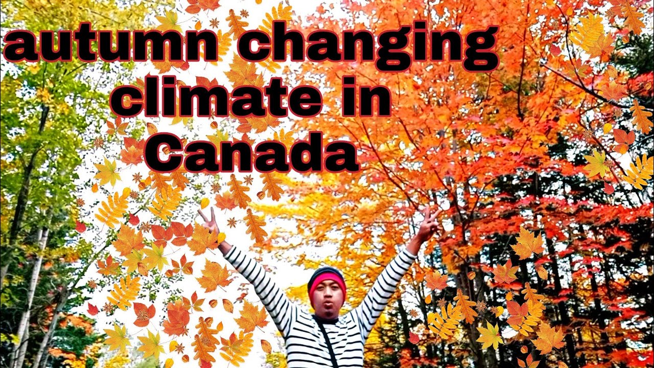 autumn changing climate in Canada - YouTube