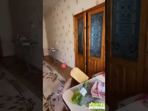 Motika