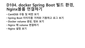 D104. Building Docker Spring Boot Environment and Connecting Nginx Volume