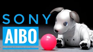 $3000 SONY AIBO Robot Dog [ ROBOT ]