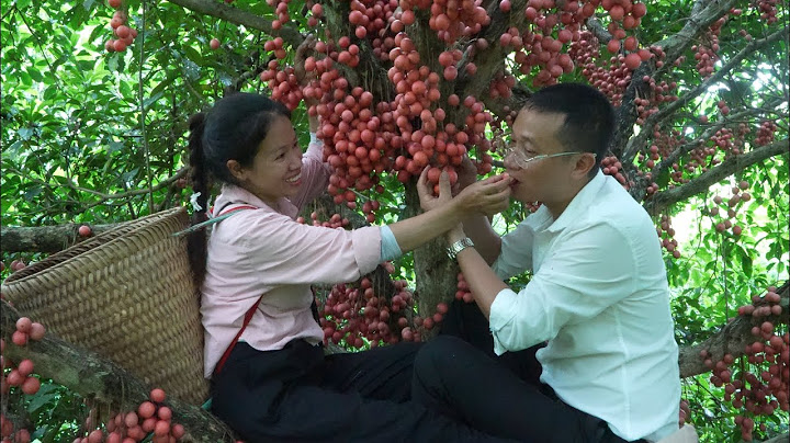 In the Deep Forest, Love Blooms Under the Wild Grapevine Full of Fruit , Lý Tử Tiêu