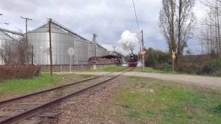 Tren de La Araucanía por Cajón
