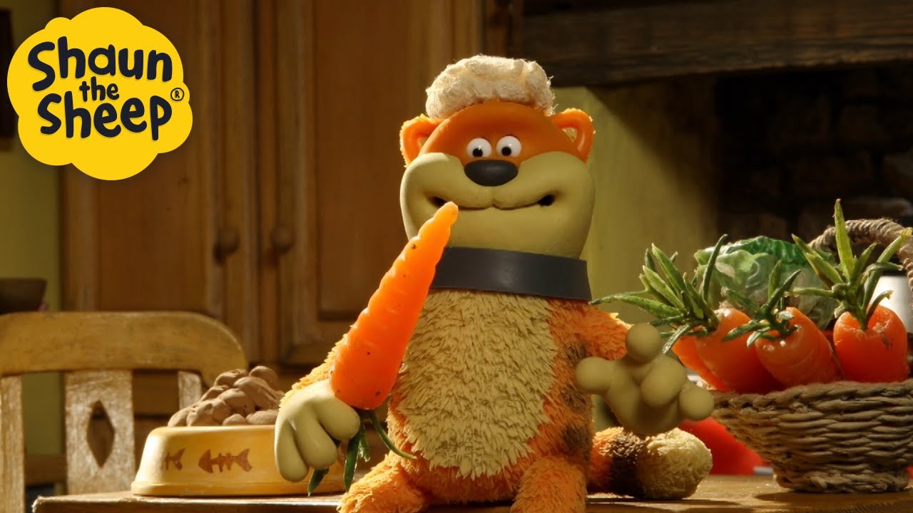 Meowster Cat 🐑 Shaun the Sheep 🐑  - Cartoons for Kids 🐑 Full Episodes Compilation [1 hour]