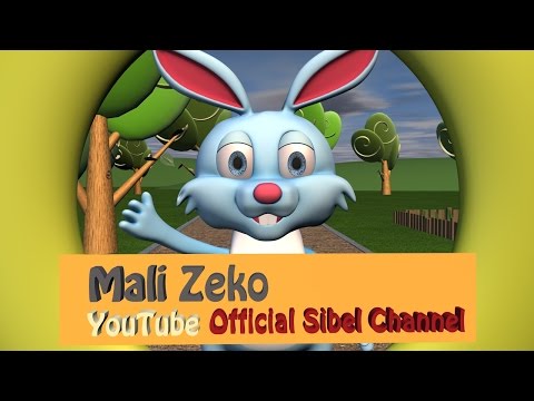 Video: Veliki Mali Zeko