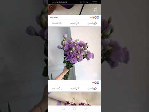 النهارده هكلم ابوكى
