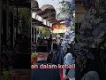 Selamat Atas Pernikahan Putri Keluarga Besar H. Abdul Rokhim & Hj. Ely Elyana