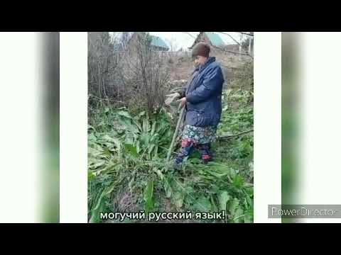 Загадочное Слово -Хрен. Прикол Бабуля Хохма. Юмор