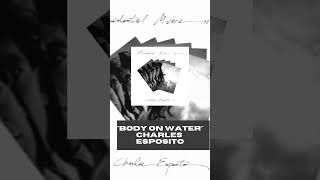 "Body on Water" by Charles Esposito on  chOOn!! / Mid-Air Museum