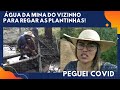 Bate e volta para molhar as plantas Pós covid + buscando água na mina do vizinho - sítio do zero