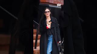 E Il Chihuahua , Coppia Inseparabile In Giro Per