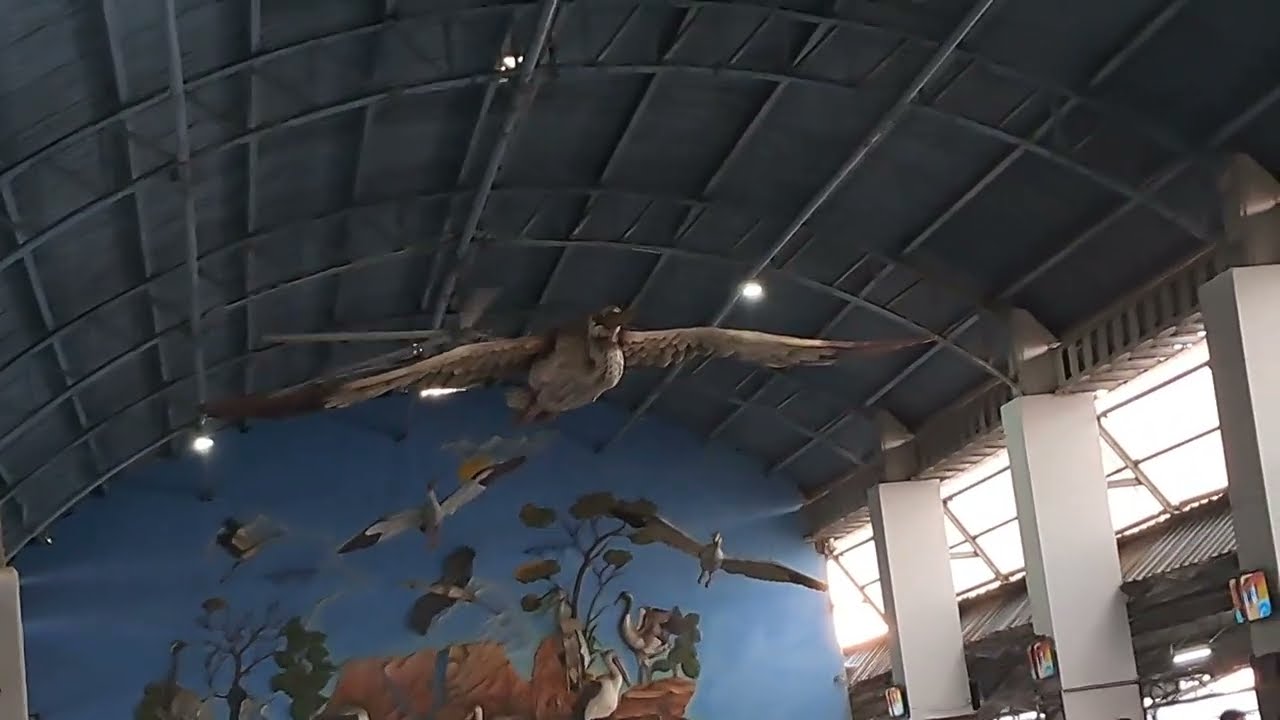 Maharashtra Gondia railway station 🚉 #vlog #viral #youtubevloggers #trending  #travel #maharashtra 