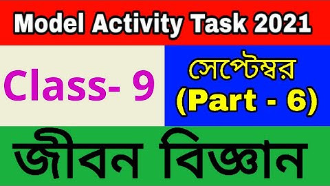 Class 9 Life Science part 6 Model Activity Task September