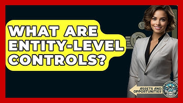 What Are Entity-level Controls? - AssetsandOpportunity.org