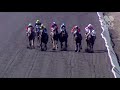 View race 2 video for 2019-08-31