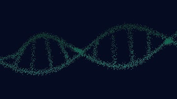 DNA Double Helix in Adobe After Effects