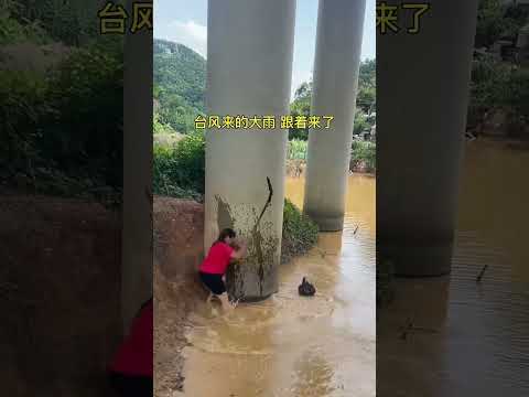 BEST ACTION FUNNY SHORTVIDEO FISHING 🎣 💯 #shortvideo #action #comedy