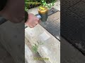 Powerful Backpack Washer: One Machine Clean Large Cement Floors Quickly