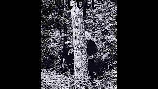 Download Lagu Troll : Demo '94 (Full Demo) MP3