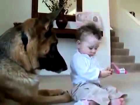 best-funny-dogs-and-children-videos-2014-funny-videos-with-your-kids