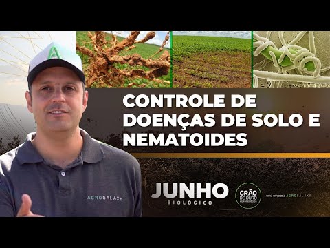 Vídeo: Controle de nematóides de pêssego: como tratar nematóides de galhas de pessegueiros