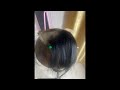 Late Night Hair Ventilation Tutorial / Early Morning