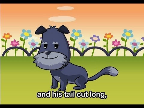 Oh! Where Has My Little Dog Gone? | Family Sing Along - Muffin Songs