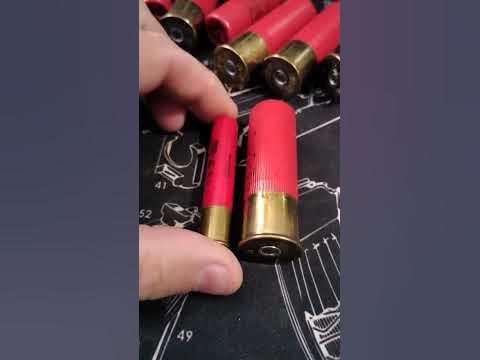 12 Gauge vs 410 Shotgun ammo - YouTube
