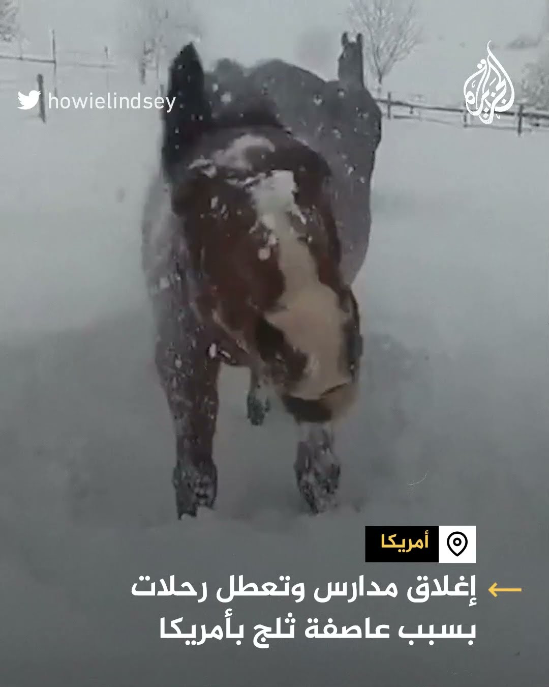 إغلاق مدارس وتعطل رحلات بسبب عاصفة ثلج بأمريكا