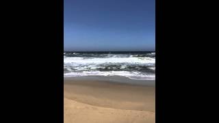 Celebrity Pomponio State Beach   California Wealth