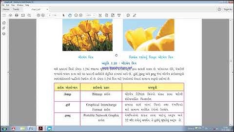 Std-11(Guj.Med) Computer Ch-1 Revision Video
