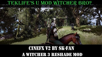 U Mod Witcher 3 Bro?  Cinefx V2 by SK-Fan