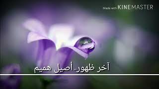 اخر ضهور اصيل هميم