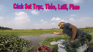 Điểm câu cá sông tự nhiên mới đẹp mê hồn | Cận cảnh cá chày mắt đỏ kéo phao