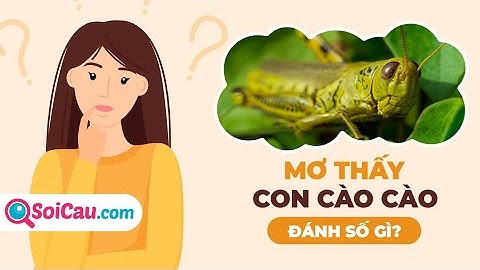 Cào cào đậu vào người là điềm gì năm 2024