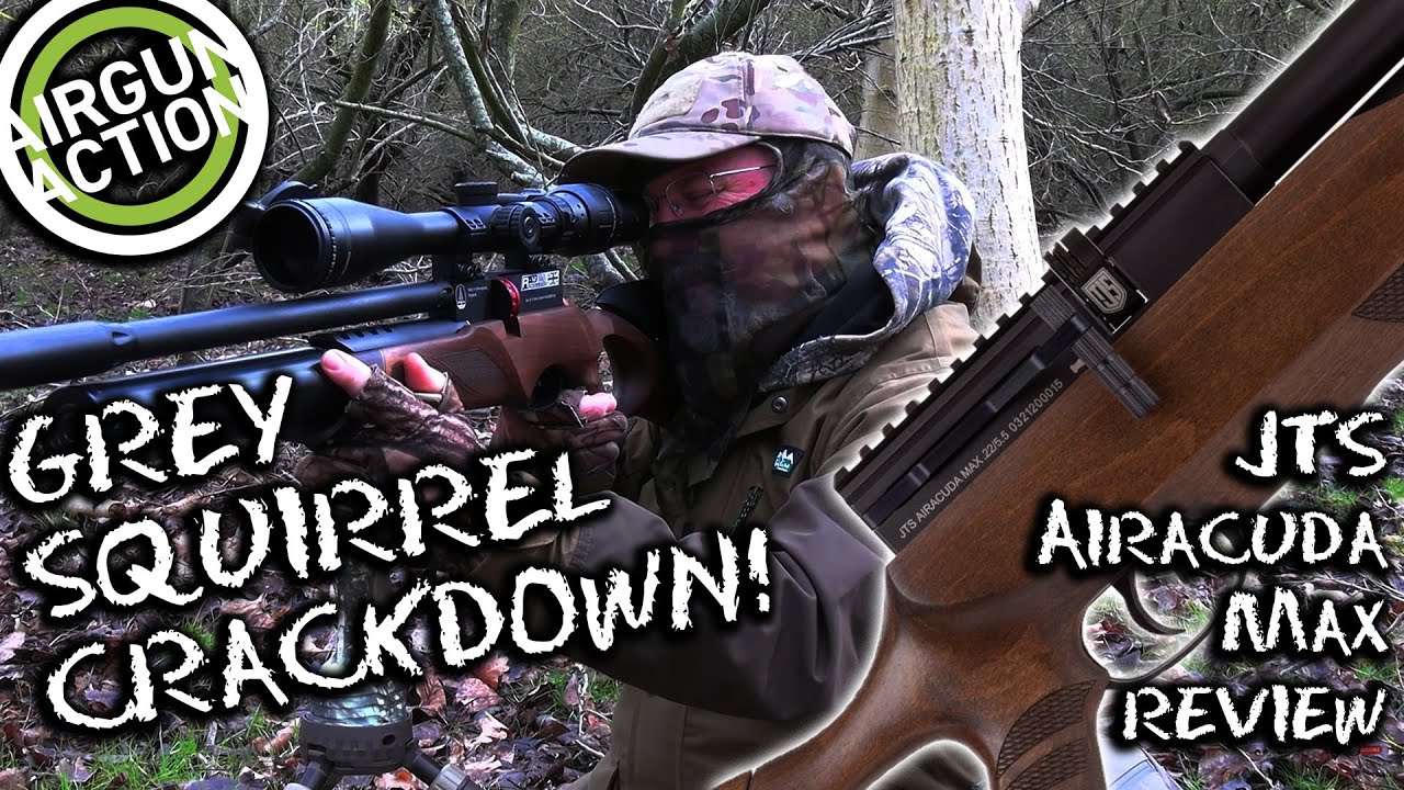 Airgun Action Stalking And Ambushing Grey Squirrels JTS Airacuda airgun-action-stalking-and-ambushing-grey-squirrels-jts-airacuda