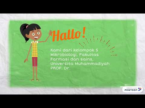 Video: Sistem Sel Utuh CYP21A2 Di Escherichia Coli Untuk Pengeluaran Bioteknologi Premedrol