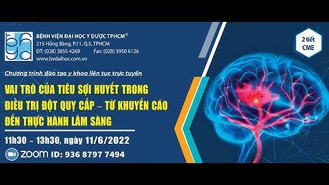Vai trò của tiêu sợ huyết trong điều trị đột quỵ cấp từ khuyến cáo đến thực hành lâm sàng
