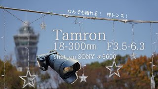 早い者勝ち❗️❗️Sony α6600 + TAMRON 10-300mmレンズ ソニー α6600