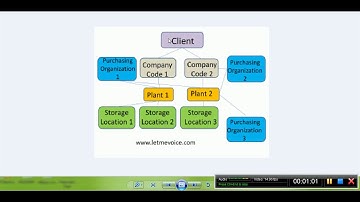 Discussion On : Enterprise Structure in SAP MM | SAP Organizational Structure | VIDEO # 2