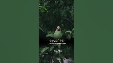 سورة العلق #العلق #سور #آيات #ايات_قرانيه_قصيره #السعودية #السعودية_الكويت_الامارات_قطر_عمان