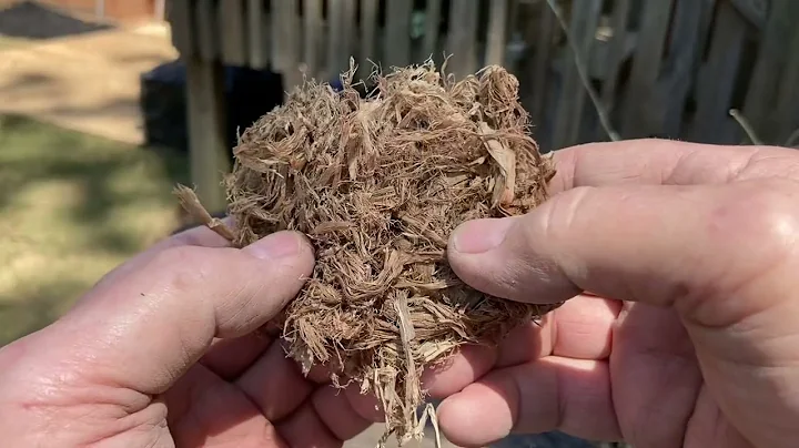 Study Fire, How Long Will Tulip Poplar Bark Burn?