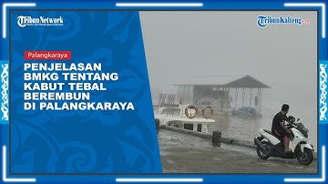 Fenomena Kabut Tebal Berembun Di Palangkaraya, Ini Penjelasan BMKG