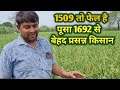 पूसा 1692 ने 1509 को फेल कर दिया | उत्पादन ज्यादा है और रोग बहुत कम | New Pusa Basmati 1692 Variety