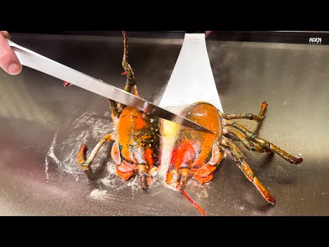 $235 Lobster & Kobe Beef in Kyoto - Japan