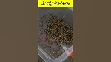 Pistachio Color Sorter #pistachio #colorsorter #nutssort #nutssorter #sortingsystem WA:8618326129021