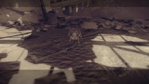 NieR:Automata : ROBOTS HAVING SEX?!?!