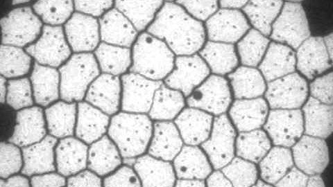 Xray tomography of columnar joints in cornstarch.