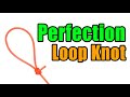 Perfection loop knot  strong easy leader to line loop knot  best fishing knots