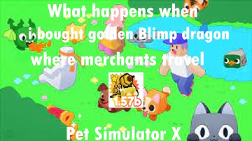 What happens when i bought golden Blimp dragon where merchants travel | Pet Simulator X